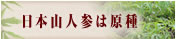 �q���E�K�g�E�L�ƃC�k�g�E�L