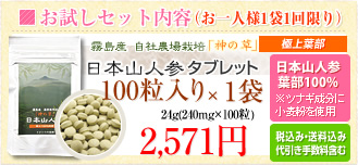�������Z�b�g���e�i����l�l1��1�����j�b���{�R�l�Q���܁@���{�R�l�Q�t��100%���c�i�M�����ɏ������g�p�@100������~1�܁i24g�i240mg�~100���j�j2,500�~�i�ō��݁E�������ݑ�����萔���܂ށj