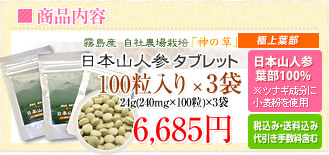 ���i���e�b���{�R�l�Q���܁@���{�R�l�Q�t��100%���c�i�M�����ɏ������g�p�@100������~3�܁i24g�i240mg�~100���j�~3�܁j6,500�~�i�ō��݁E�������ݑ�����萔���܂ށj