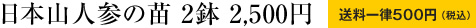���{�R�l�Q�̕c�@2���@2,500�~�@�����ꗥ500�~�i�ō��j