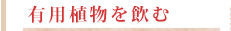 �L�p�A��������