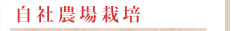 ���Д_��͔|