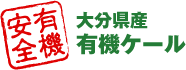 有機安全：大分県産 有機ケール