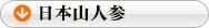 日本山人参